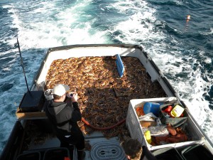 crab dec 2009 deck load 012